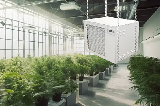 Running a Dehumidifier in a Sealed Grow Room