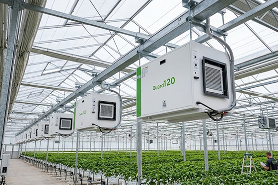 Effective Ways of Reducing Humidity in Grow Tent